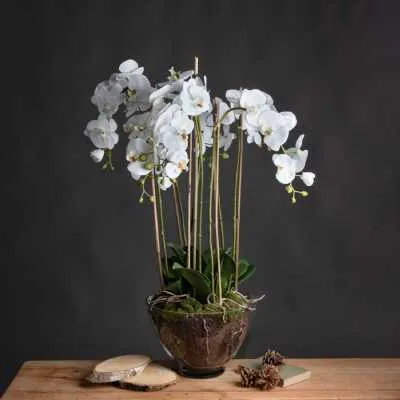 Beautiful Round Glass Pot With Large Silk White Orchid And Artificial Leaves 88x70cm