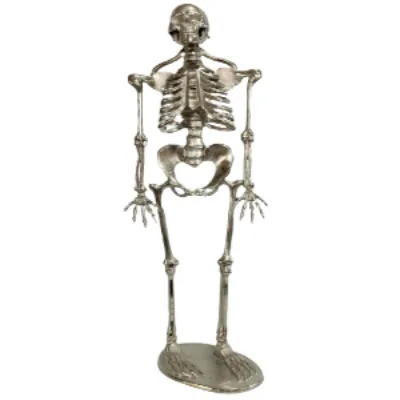 Skeleton H155cm