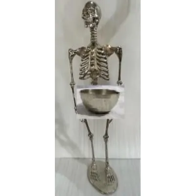Skeleton with Bowl H155cm