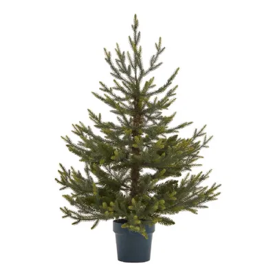 Potted Natural Pine Tree