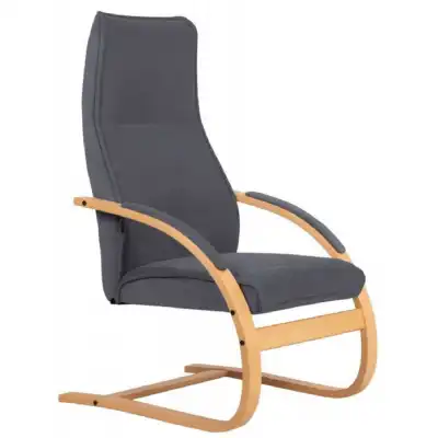 Grey Aqua Clean Fabric Cantilever Relaxer Chair