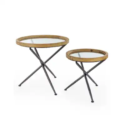 Set of 2 Glass Top Side Tables with Metal Tripod Legs