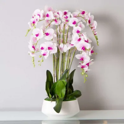 Mint Homeware Soft Pink Orchid in White Ceramic Pot 12 Stems