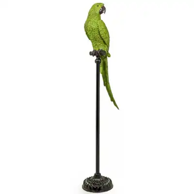 Green Parrot On Tall Floor Standing Black Perch