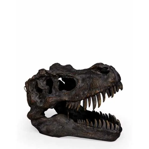 T Rex Dinosaur Skull Head Wall Hanging