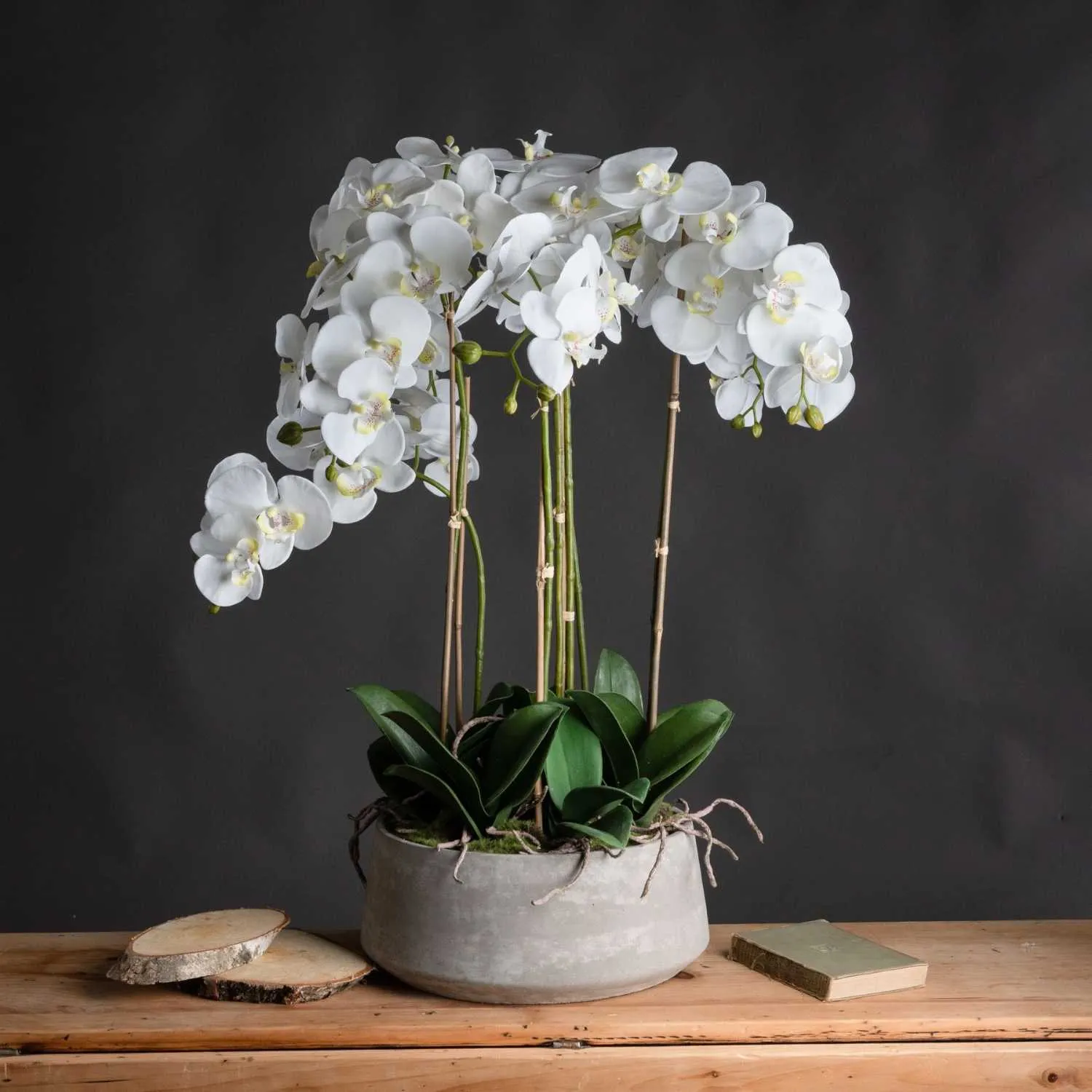 Large Silk White Orchid With Succulents In a Modern Round Stone Pot