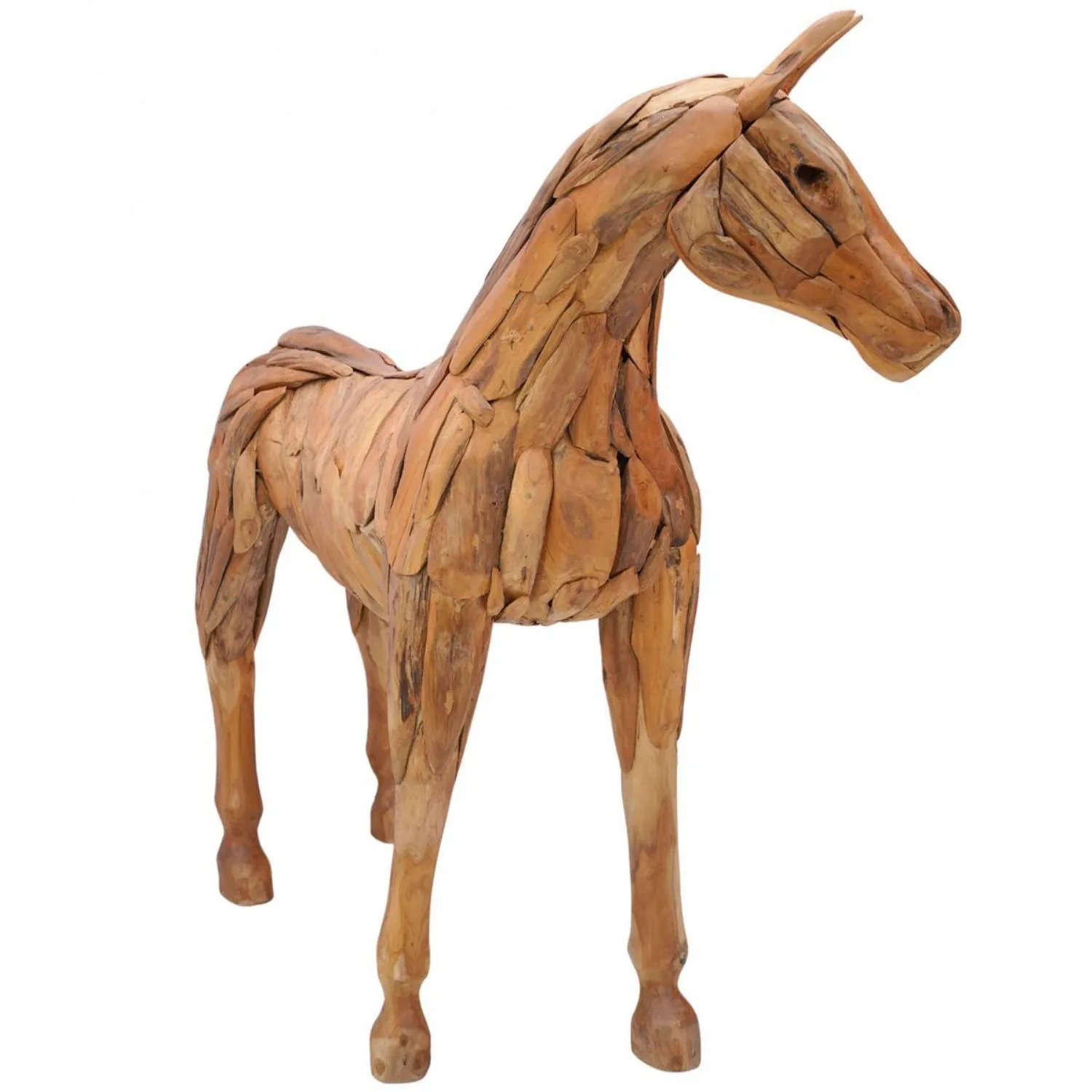 Driftwood Standing Foal